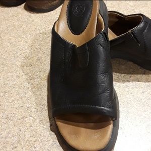 Ariat Bridgeport sassy